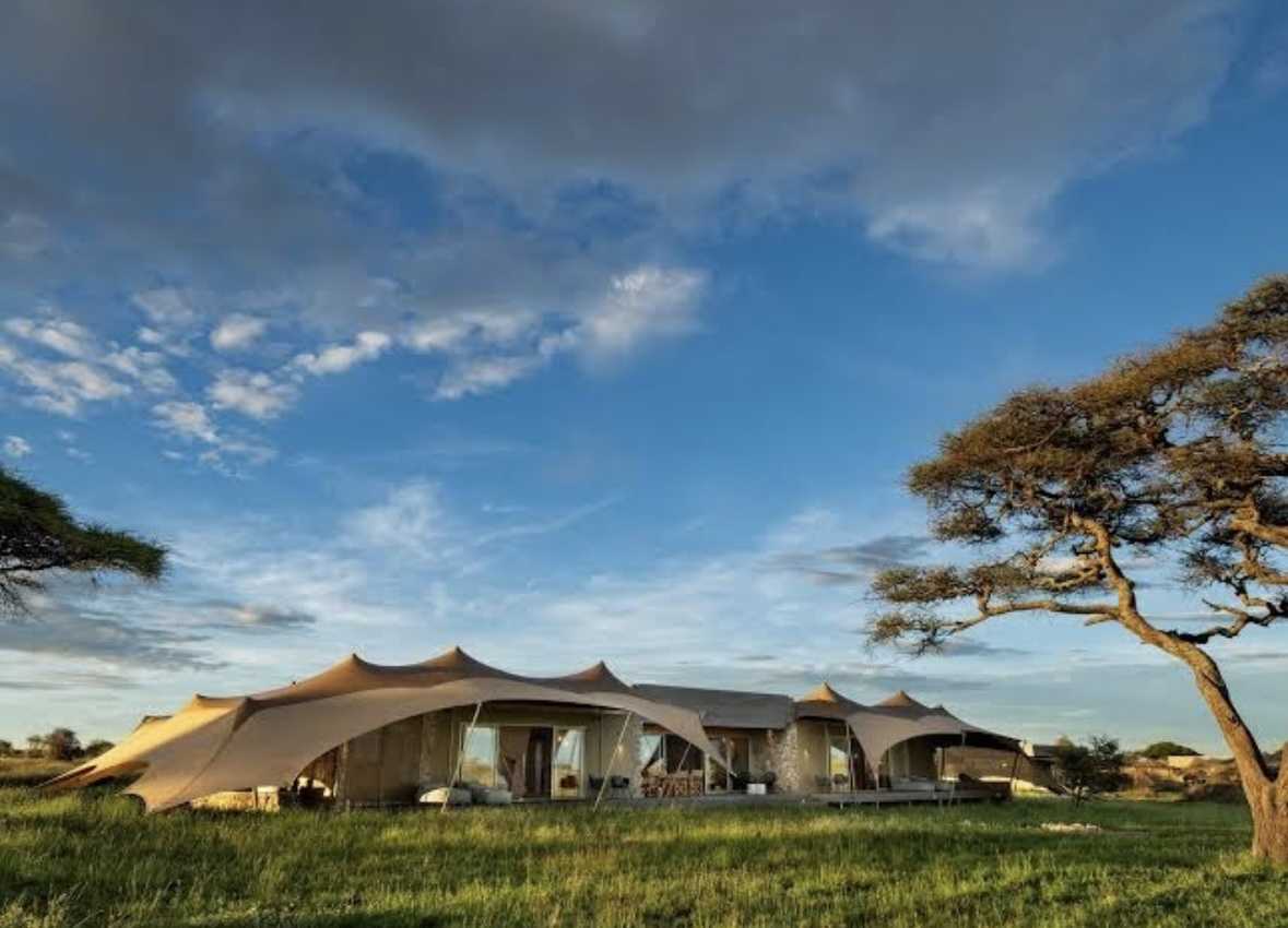 NAMIRI ASILIA PLAINS