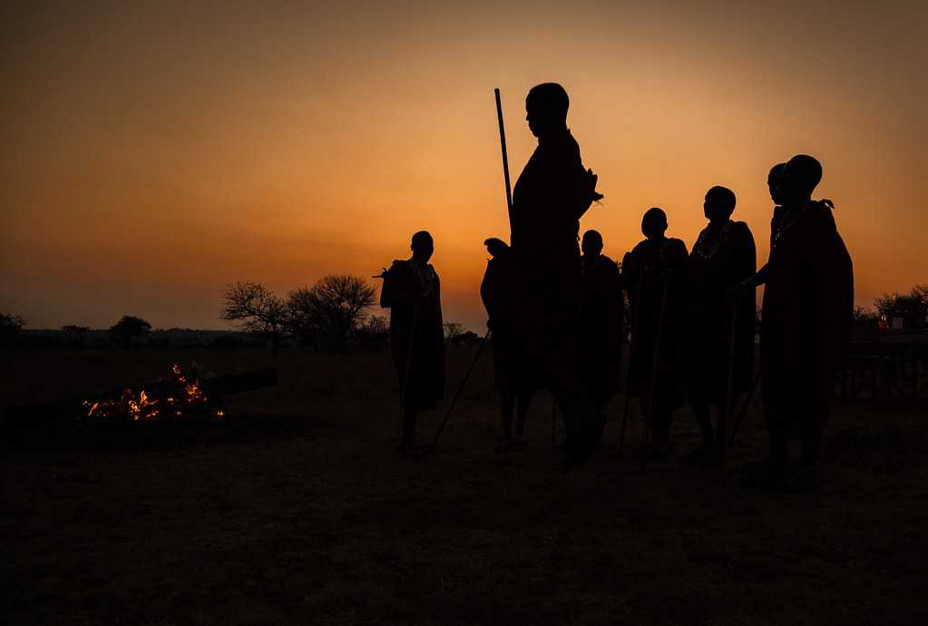 SPECIAL CELEBRATION SAFARI