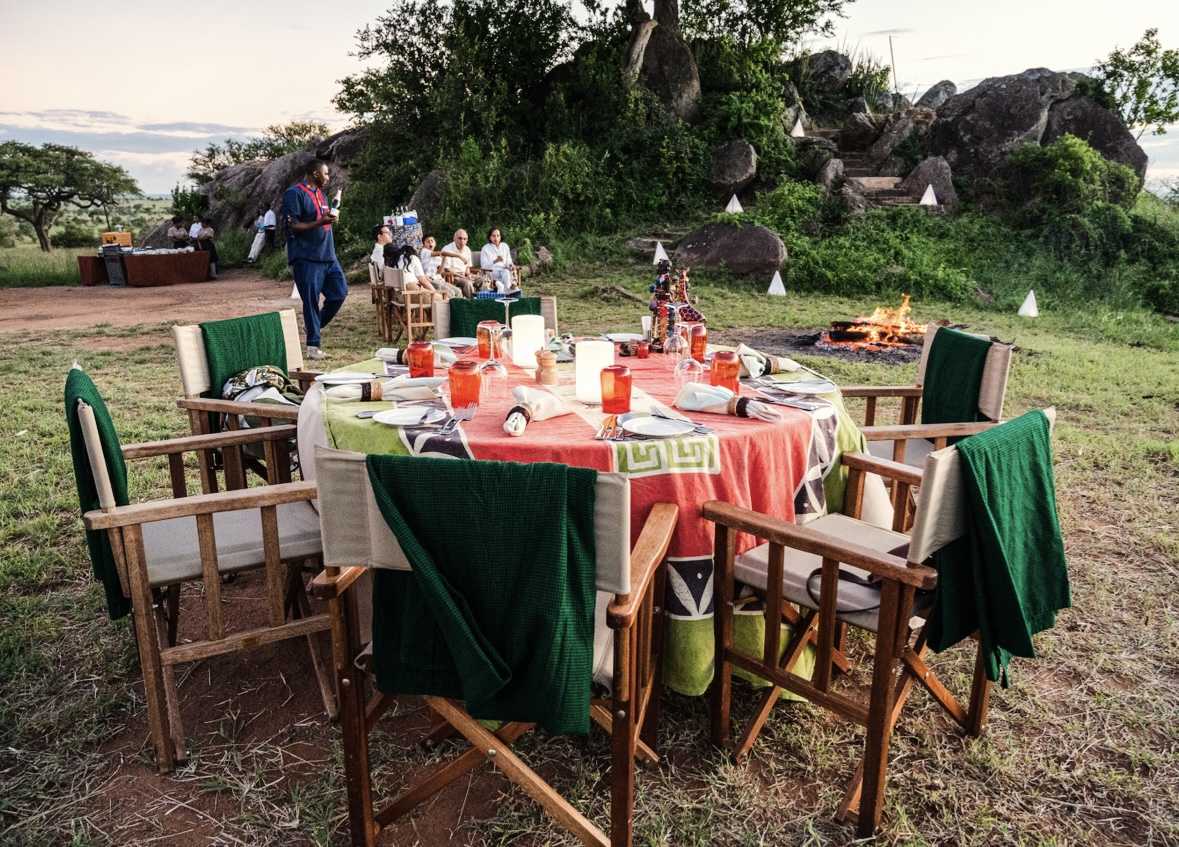 THANKS GIVING SAFARI